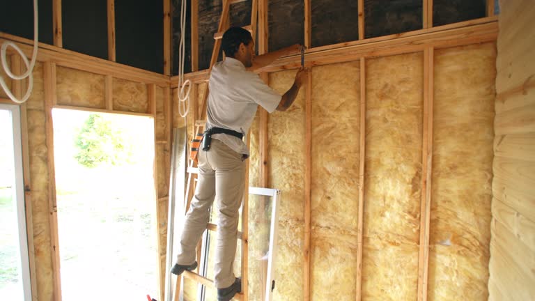 Best Attic Insulation Installation  in Alma, GA